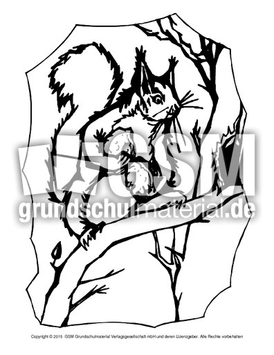 Ausmalbild-Eichhörnchen-A 12.pdf